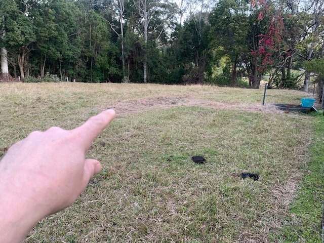 Sunken Drainage Line for a septic tank Adsorption Septic Tank Drain