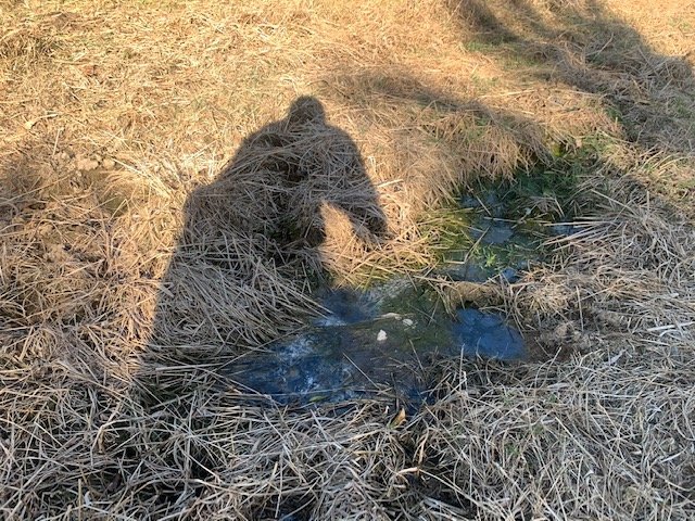 Collapsed Septic Runoff Drain or Adsorption Pit